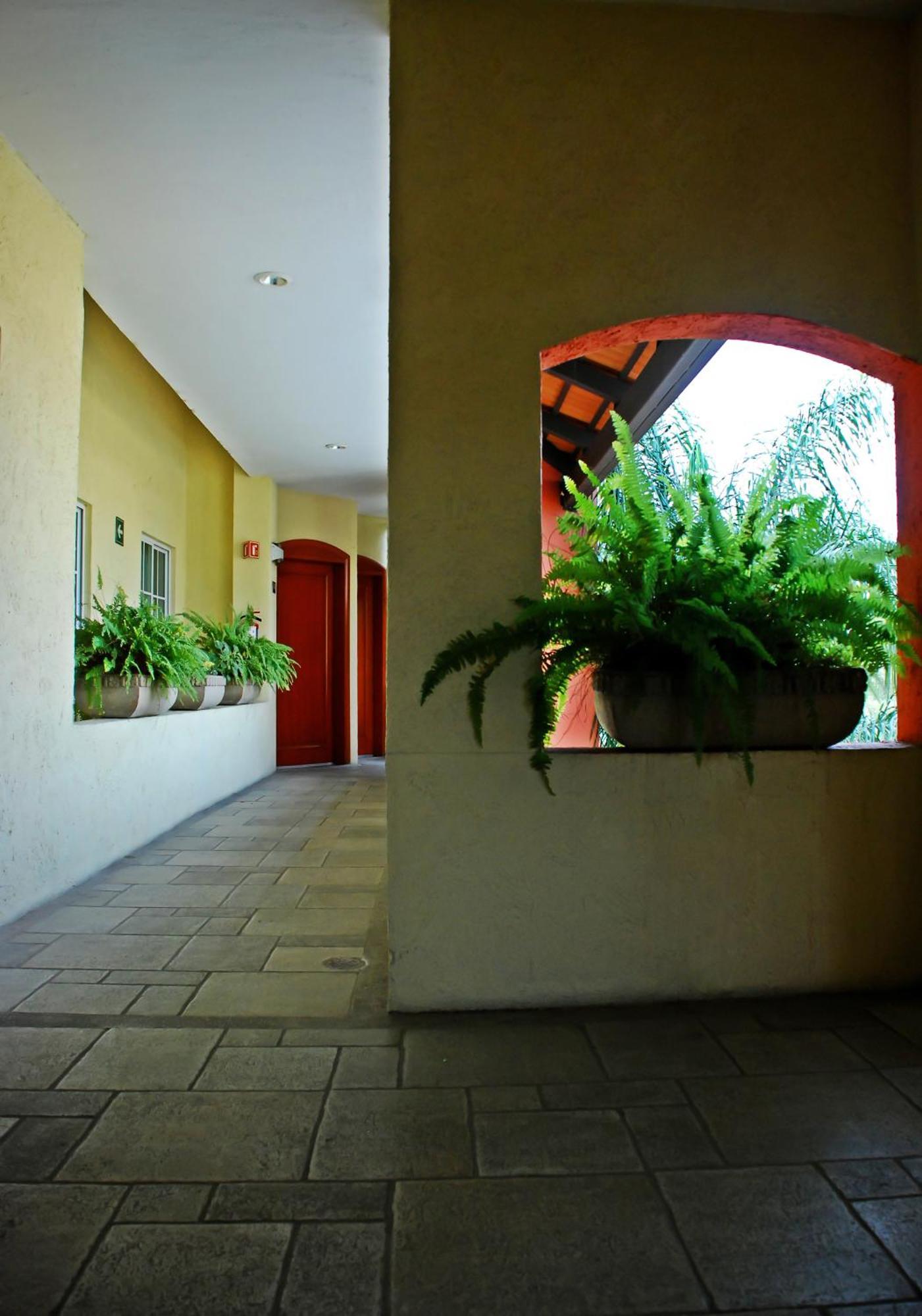 Aurea Hotel And Suites Zapopan Exterior photo